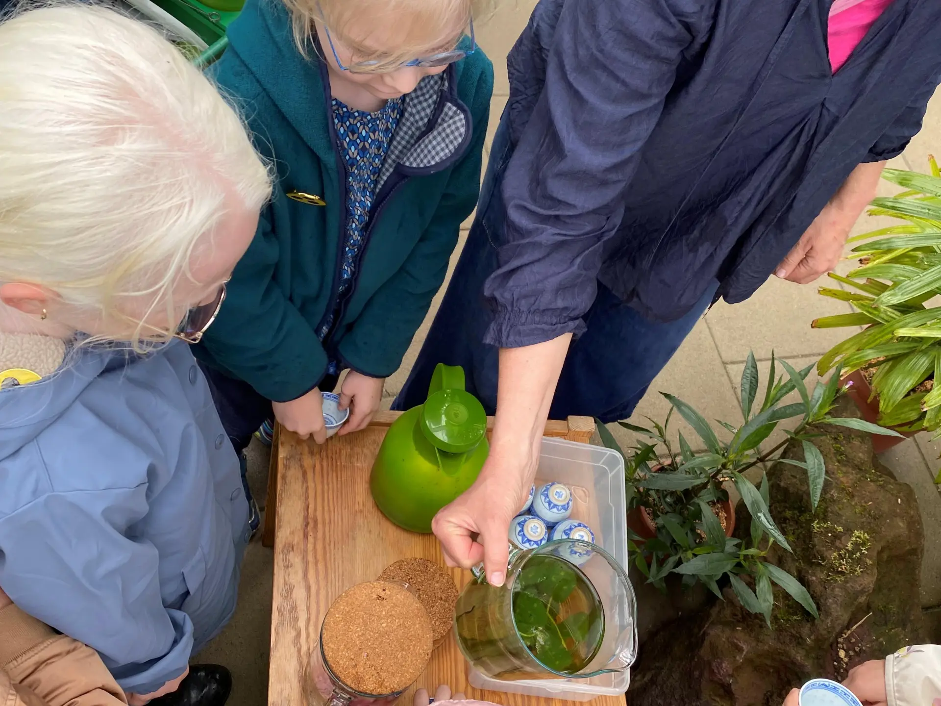 Schüler*innen schmecken verschiedene Getränke mit Kräutern der Flora