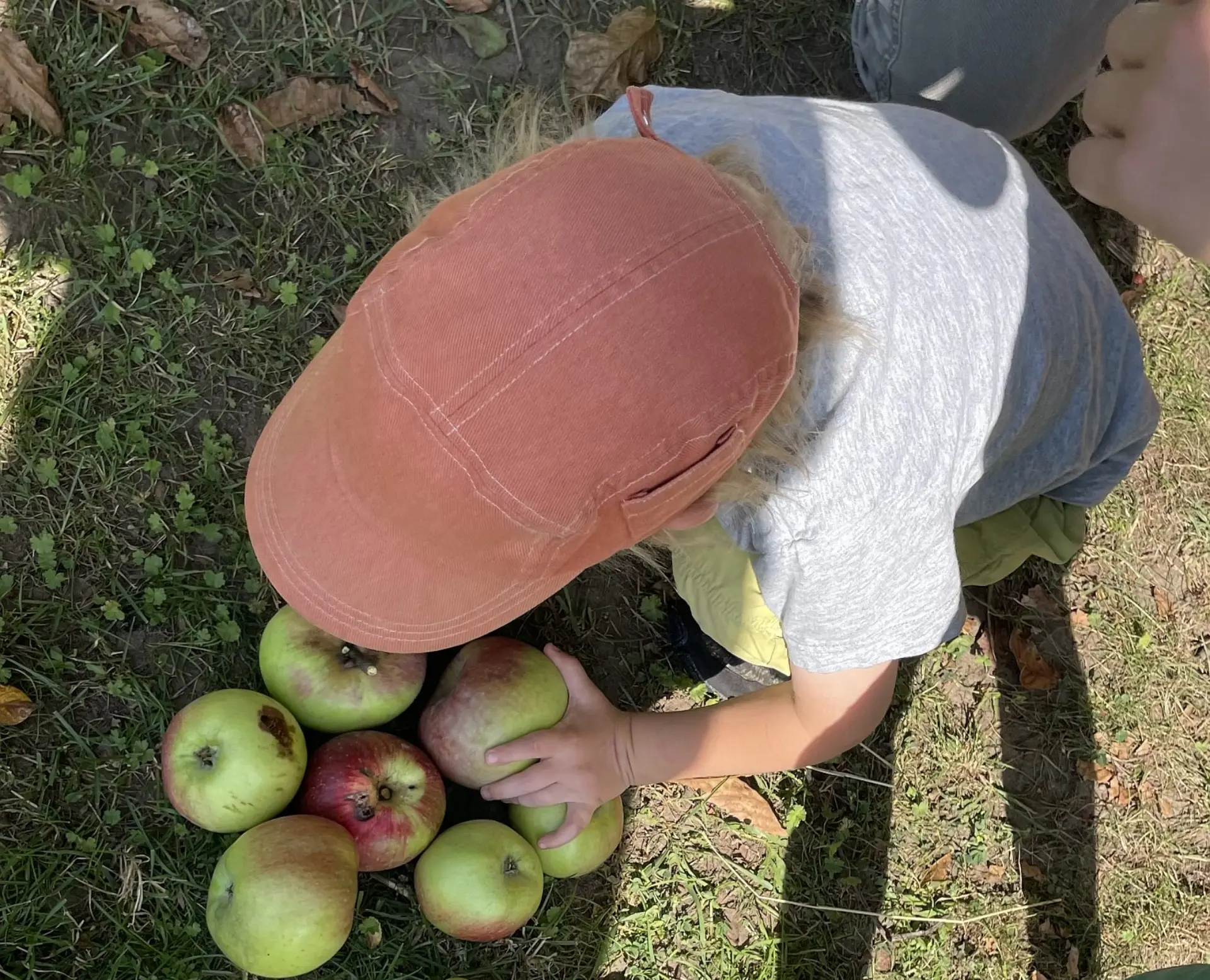 Eine Nahaufnahme von oben zeigt ein Kind mit einer Kordkappe, das auf dem Bauch kniet und mit den Händen die Äpfle in einer Ansammlung auf dem Gras anfasst. Die Umgebung ist sonnig und deutet auf eine Aktivität im Freien hin.