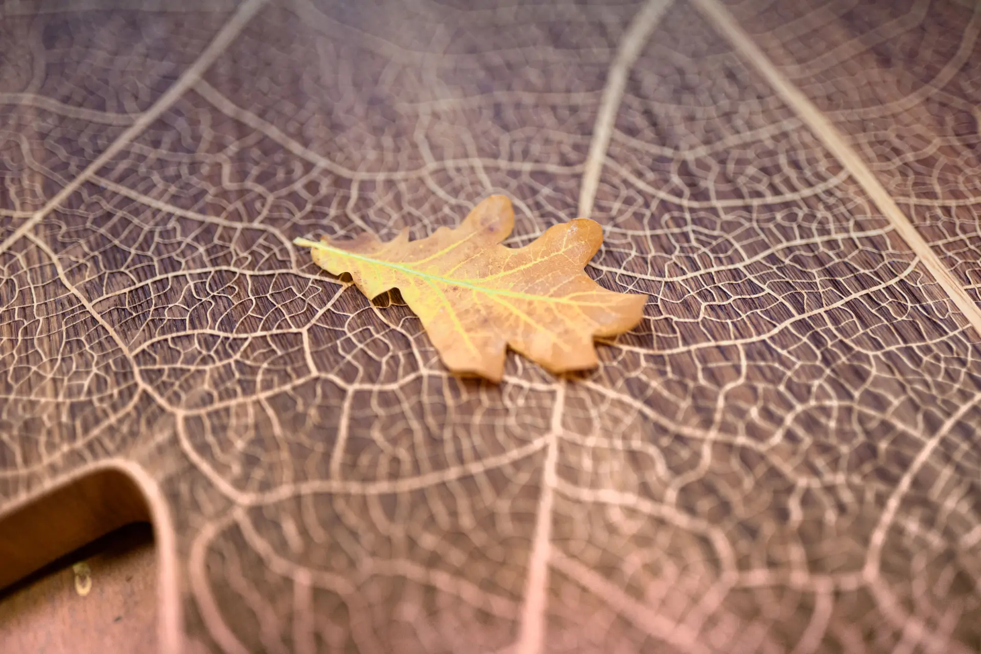 Ein echtes Baumblatt liegt auf einer großen Holzfläche. Diese ist so verziert, als ob sie auch Blattfasern hat.