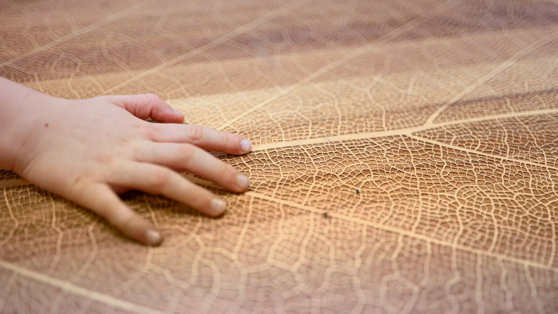 Die Hand eines Kindes im Grundschulalter, das eine große Holzfläche anfasst. Die Fläche ist wie mit den Fasern eines Baumblatts verziert.