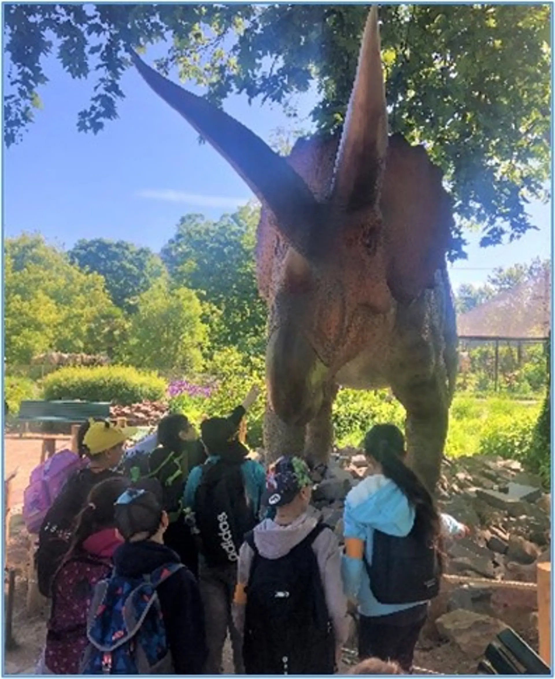 Ein Kind mit Rucksack steht am Zaun des Elefantengeheges und schaut nach vorne zum Gelände.