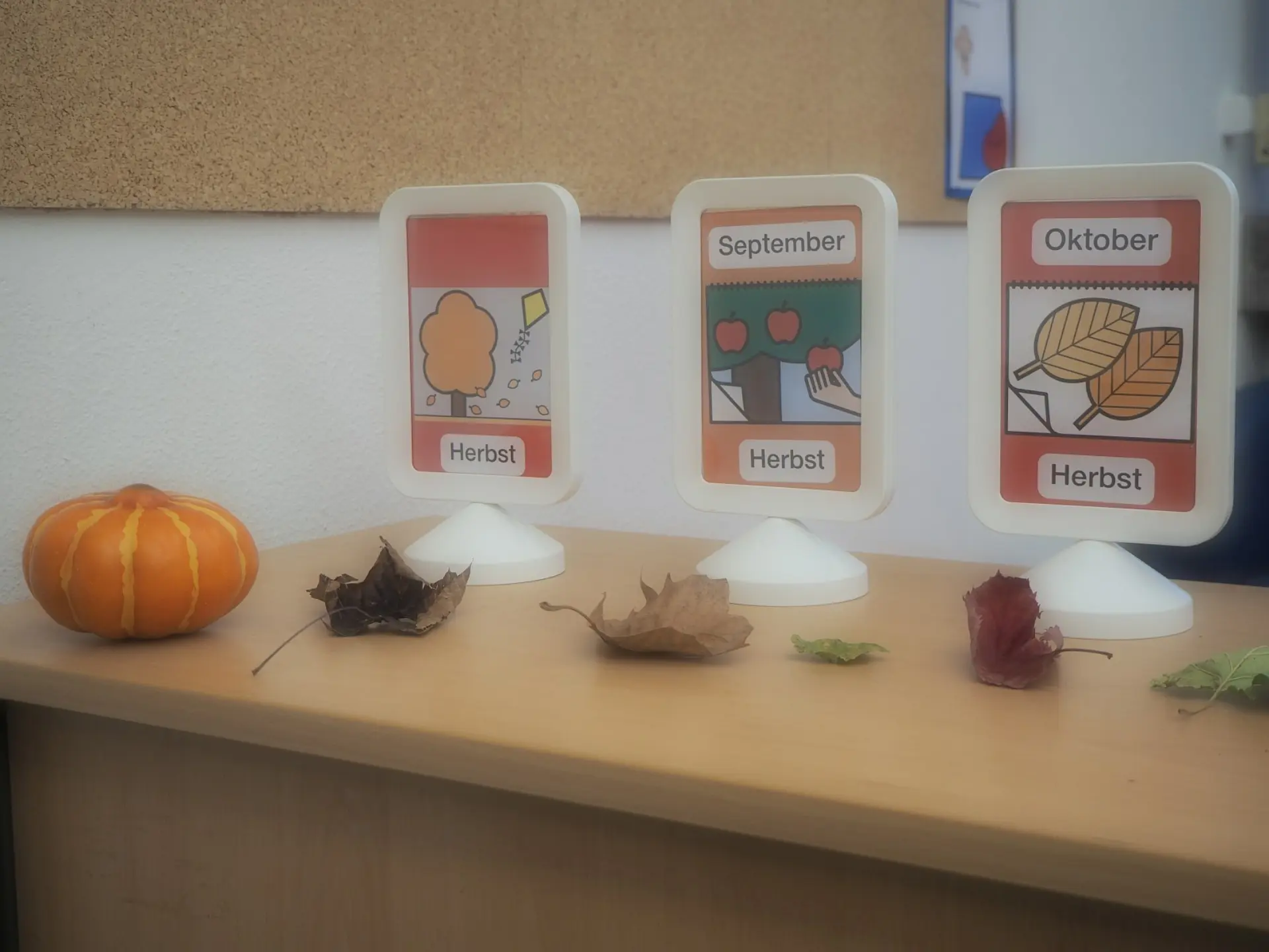 Ein Tisch mit Herbstdekoration und Bildkarten für unterstützte Kommunikation (METACOM-Symbole). Abgebildet sind die Monate September und Oktober sowie die Jahreszeit Herbst. Links liegt ein kleiner, oranger Kürbis und davor liegen getrocknete Herbstblätter. Die Bilder zeigen einen Baum ohne Blätter, das Pflücken von Äpfeln und herabfallendes Laub.